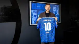 Edin Dzeko Kembali ke Jerman, Perkuat Lini Serang Schalke 04 di Bundesliga 2