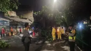 Pohon Tumbang di KS Tubun Palmerah, Polisi Palmerah Respons Cepat Aduan Warga