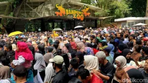 Ribuan Wisatawan Serbu Bandung Zoo di Hari Terakhir Tiket Gratis Akhir Tahun