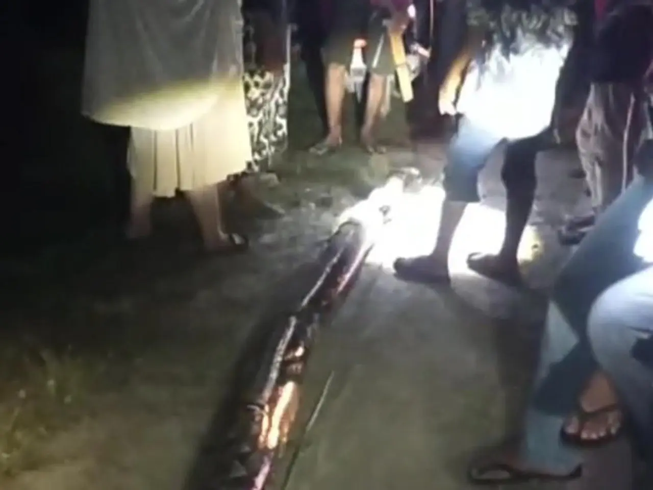 Wanita di Maros Nyaris Tewas Dililit Ular Piton 8 Meter Saat Hendak Bangun untuk Salat Subuh Wanita di Maros Nyaris Tewas Dililit Ular Piton 8 Meter Saat Hendak Bangun untuk Salat Subuh