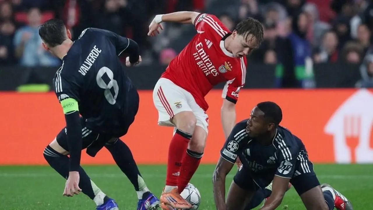 Drawing Playoff Liga Champions: Real Madrid Berpotensi Kembali Hadapi Benfica Drawing Playoff Liga Champions: Real Madrid Berpotensi Kembali Hadapi Benfica