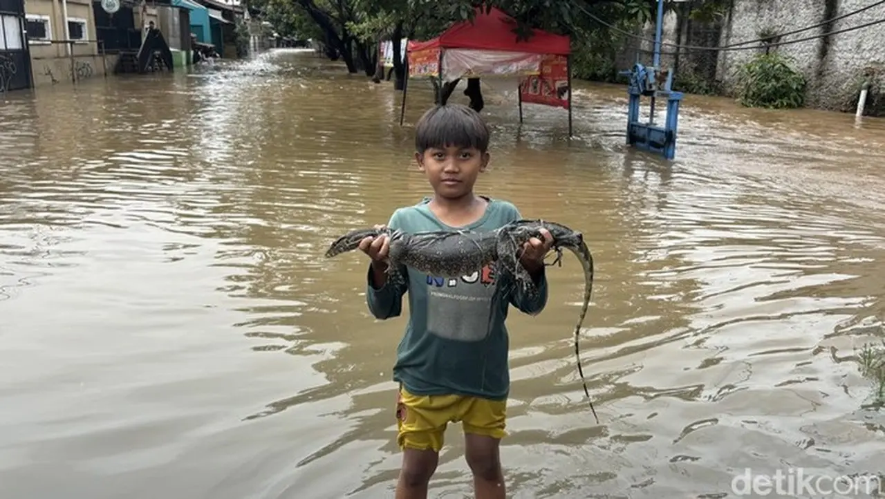Warga Kranji Bekasi Tangkap 3 Ular Sanca dan 1 Biawak di Tengah Banjir Warga Kranji Bekasi Tangkap 3 Ular Sanca dan 1 Biawak di Tengah Banjir