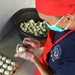 Warga Binaan Lapas Kotabaru Ciptakan Telur Asin UMKM La New City: Peluang Produktif di Balik Jeruji