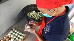 Warga Binaan Lapas Kotabaru Ciptakan Telur Asin UMKM La New City: Peluang Produktif di Balik Jeruji