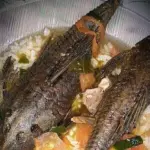 Pemprov DKI Jakarta Larang Konsumsi Ikan Sapu-sapu dari Kali Tercemar