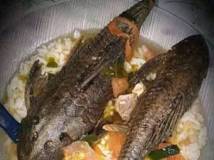 Pemprov DKI Jakarta Larang Konsumsi Ikan Sapu-sapu dari Kali Tercemar