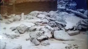 BNPB Ungkap Penyebab Longsor Susulan di Agam, Status Tanggap Darurat Diperpanjang