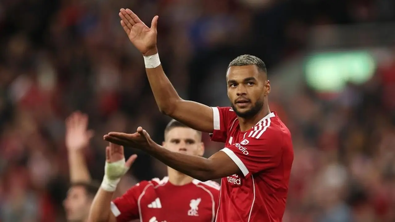 Cody Gakpo Ungkap Nilai Plus Peran Baru sebagai Penyerang Nomor 9 Liverpool