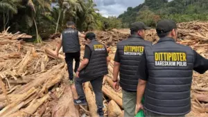 Bareskrim Polri Tetapkan Tersangka Kasus Gelondongan Kayu di Tengah Bencana Banjir Sumut