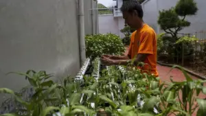 12.146 Napi Terlibat Program Ketahanan Pangan, Premi Capai Rp 902 Juta di 2025