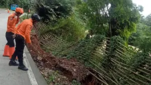 Tebing 20 Meter Longsor di Jasinga-Bogor, Akses Jalan Raya Terpaksa Ditutup Sebagian