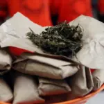 Polres Serang Ungkap Jaringan Ganja Lintas Provinsi, Tiga Bandar Dibekuk dengan 14 Kg Barang Bukti